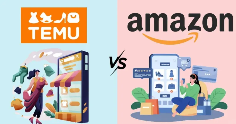 全球电商供应链双轨制：海外仓定上限vs中国直发保下限